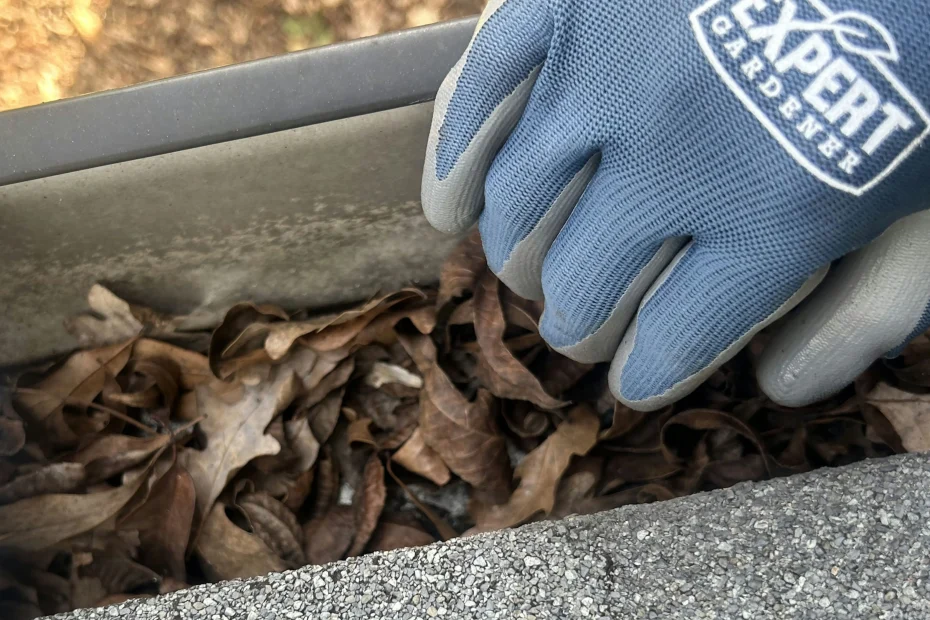 Gutter Cleaning Goose Creek