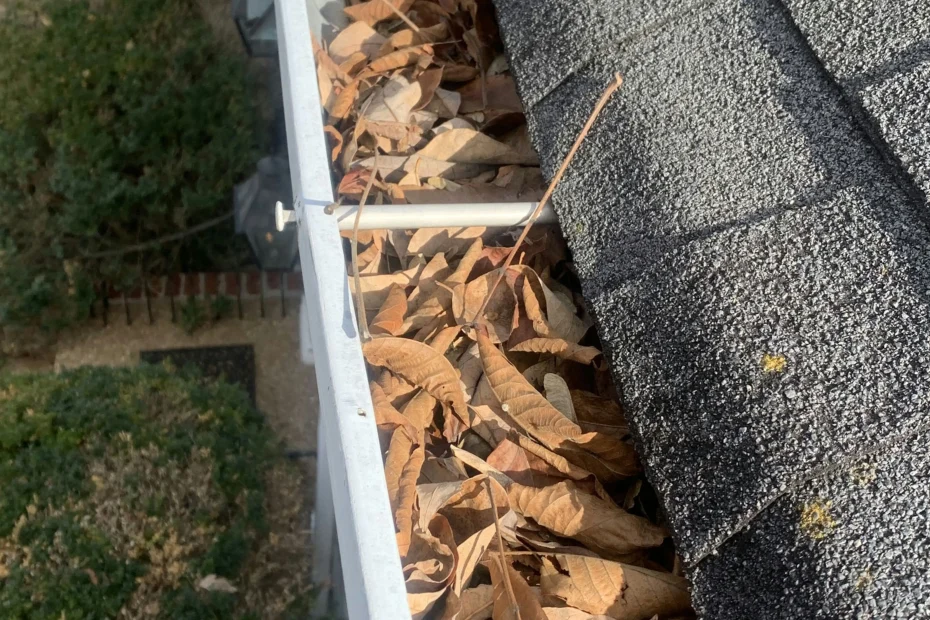 Gutter Cleaning Goose Creek