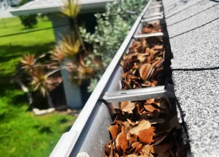 Gutter Cleaning Goose Creek home page